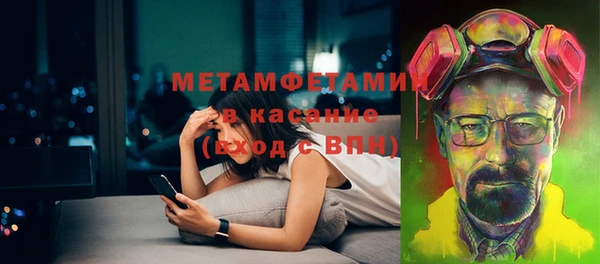 индика Инсар