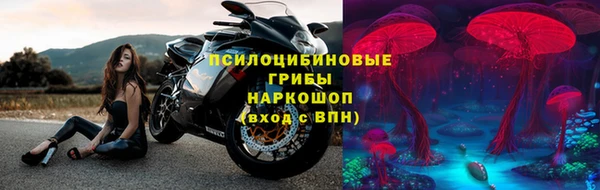 бошки Каменногорск