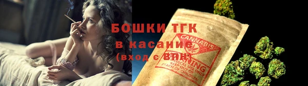 трава Иннополис
