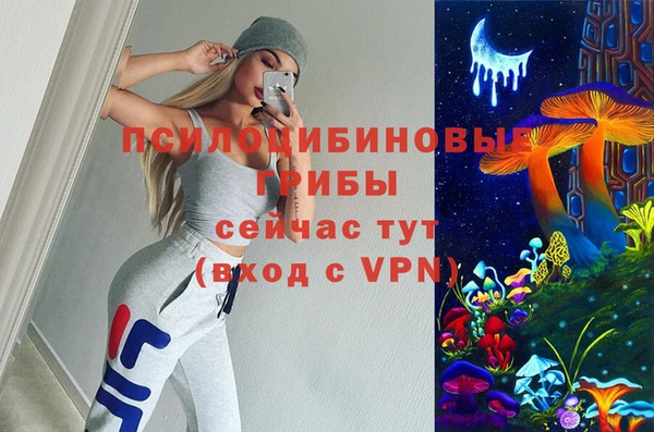 бошки Каменногорск