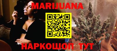 мдпв Гай
